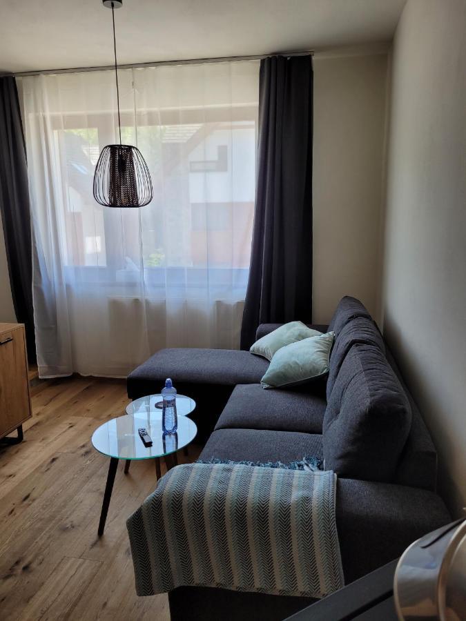 Artur Apartment Myto Mýto pod Ďumbierom エクステリア 写真